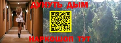 мдпв Новозыбков