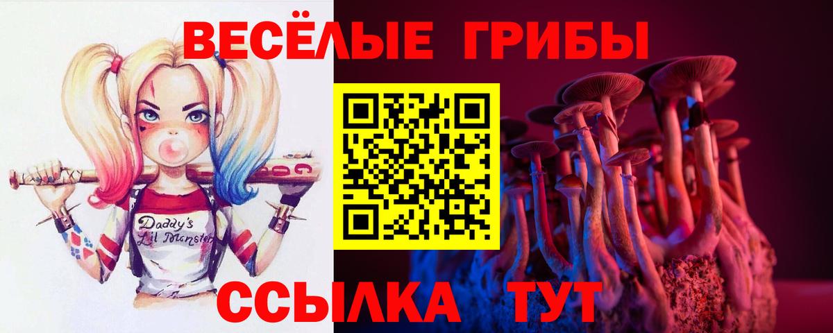 Тулун  Псилоцибиновые грибы MAGIC MUSHROOMS  цена   Вход с VPN 